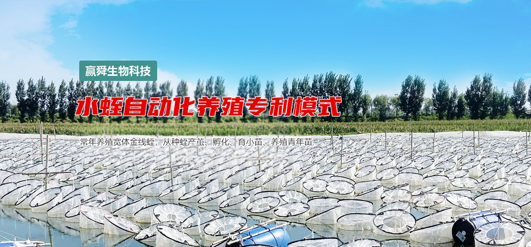 山东赢舜生物科技有限公司