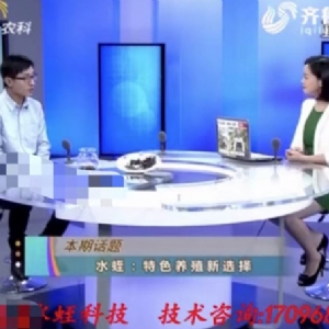 资质荣誉