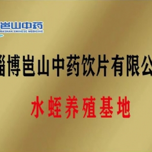 资质荣誉
