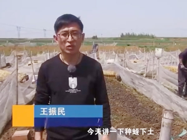种蛭下土注意事项