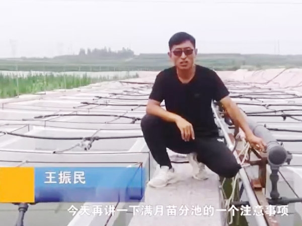 水蛭满月苗的注意事项