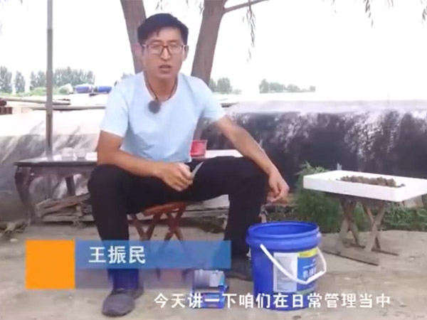 水蛭养殖日常需检测的水体指标