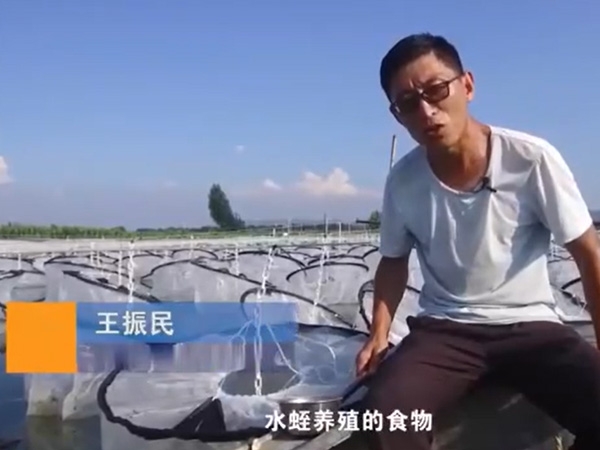 养殖管理.食物投放