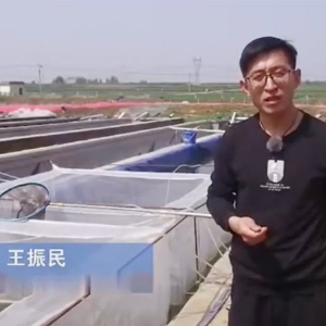 种蛭的选择