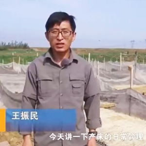 产床日常管理
