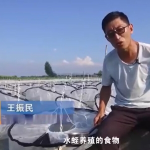 养殖管理.食物投放